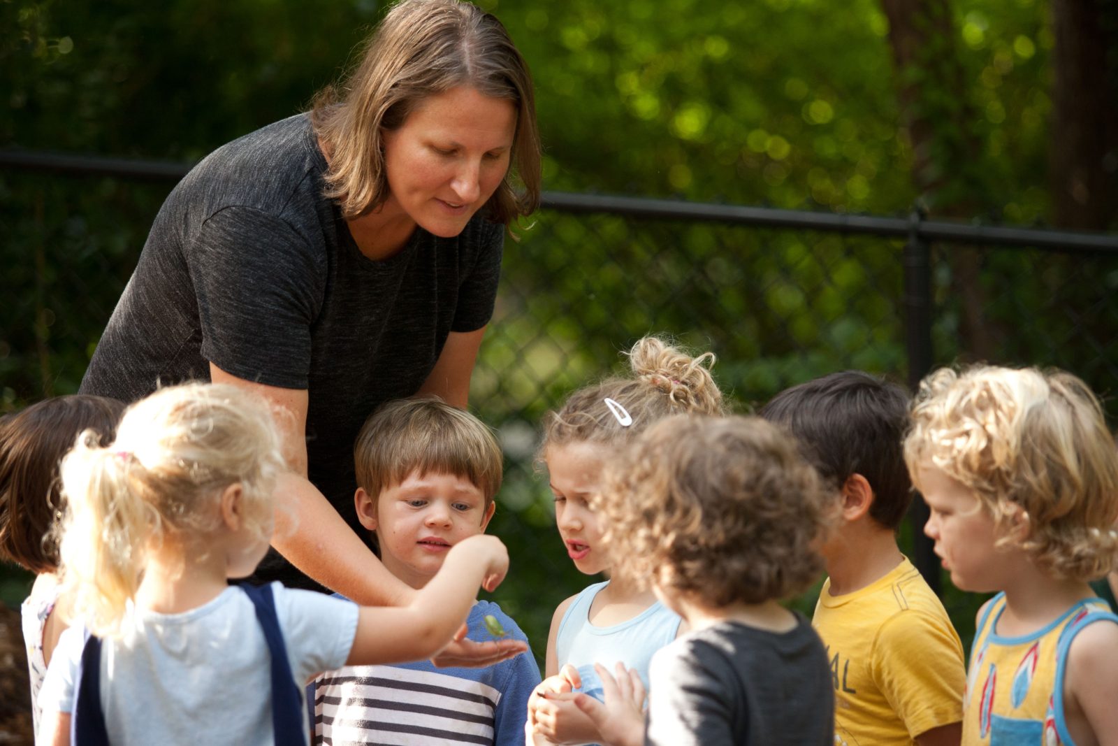 Little Forest School